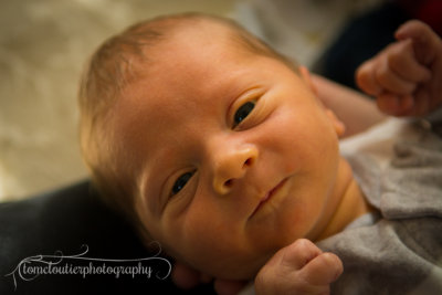 joshua_fish_March13-29.jpg