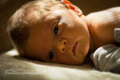 joshua_fish_March13-3.jpg