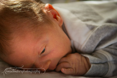 joshua_fish_March13-34.jpg