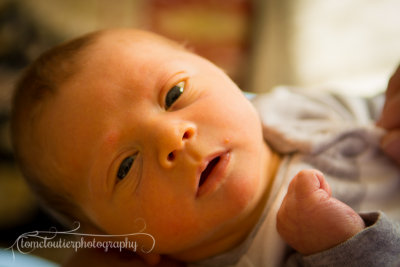 joshua_fish_March13-40.jpg