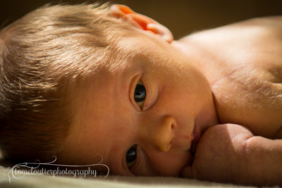 joshua_fish_March13-10.jpg