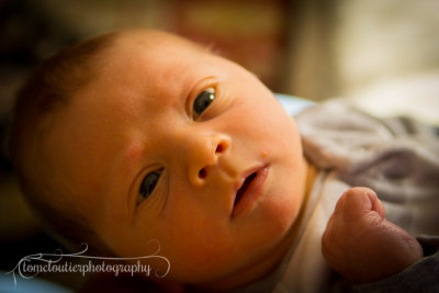 joshua_fish_March13-41.jpg