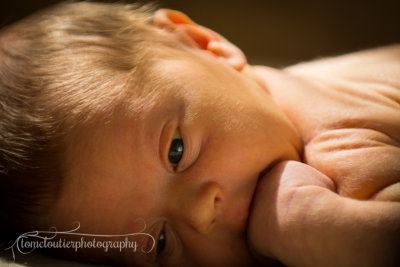 joshua_fish_March13-11.jpg