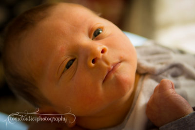 joshua_fish_March13-43.jpg