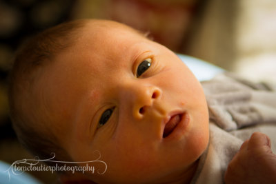 joshua_fish_March13-45.jpg