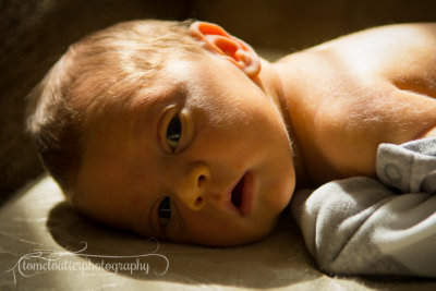 joshua_fish_March13-6.jpg