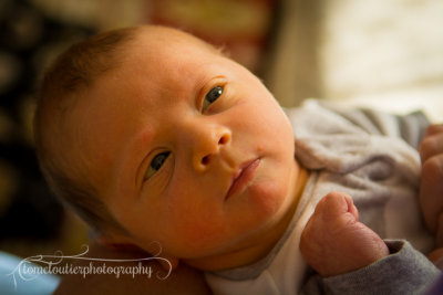 joshua_fish_March13-38.jpg