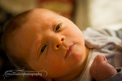 joshua_fish_March13-39.jpg