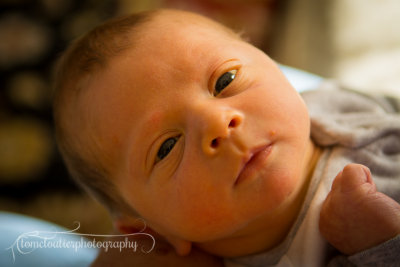 joshua_fish_March13-42.jpg
