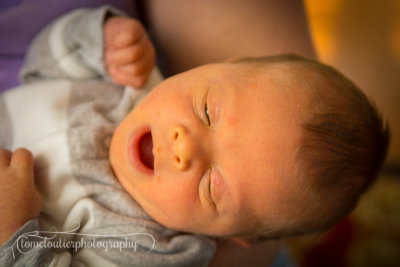 joshua_fish_March13-47.jpg
