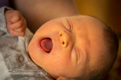 joshua_fish_March13-48.jpg