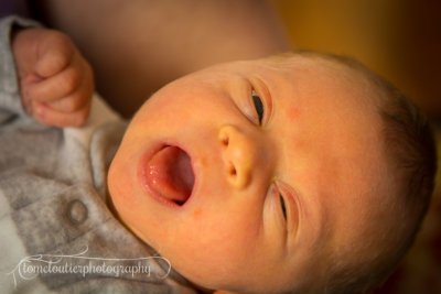 joshua_fish_March13-49.jpg