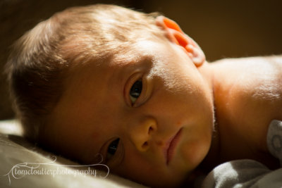joshua_fish_March13-5.jpg
