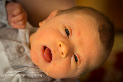 joshua_fish_March13-50.jpg