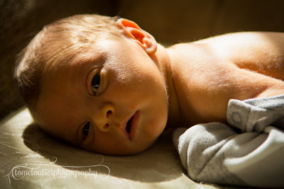 joshua_fish_March13-7.jpg