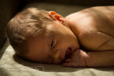 joshua_fish_March13-8.jpg