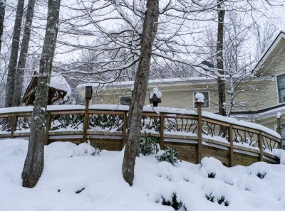 The Great Snowfall of 13 February 2014
