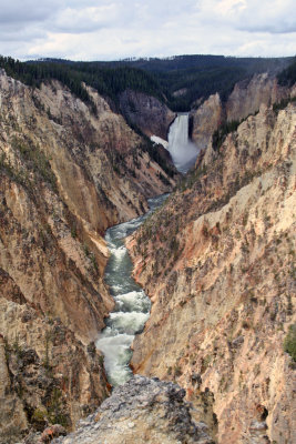 Lower Falls of the Yellowstone River