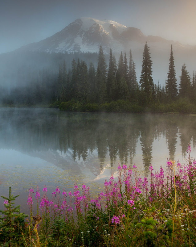 Foggy Rainier for Card  July 25 -1600.jpg