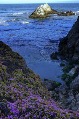 Point Lobos May 31 2013.jpg