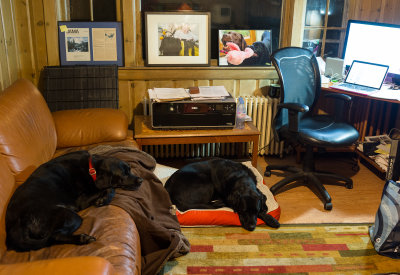 Life in the dog room  November 19 2013_.jpg