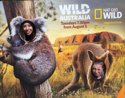 Wild things Kids Australia_.jpg