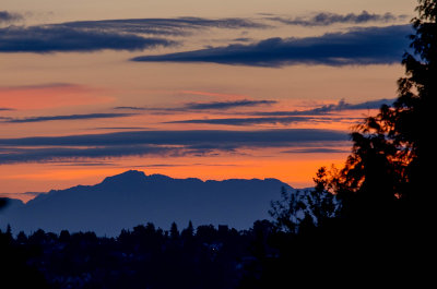 Sunrise from the back yard  2 July 15 2015 1 of 1.jpg