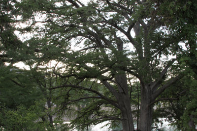 garner_state_park_vol_2