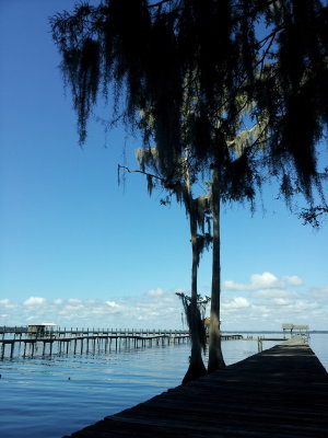 Off the back deck