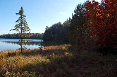 _IGP3814.jpg