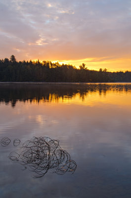 _IGP3957hdr.jpg