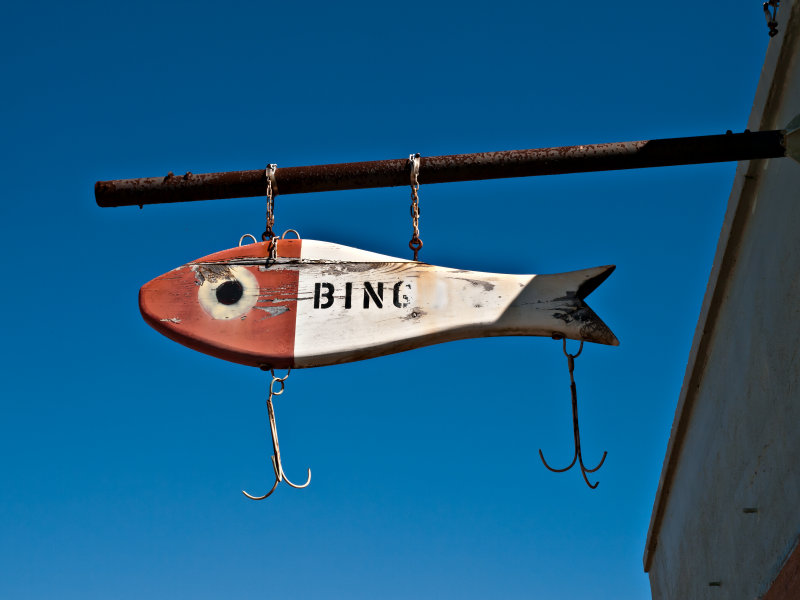 Bing bait, Rockport  , TX