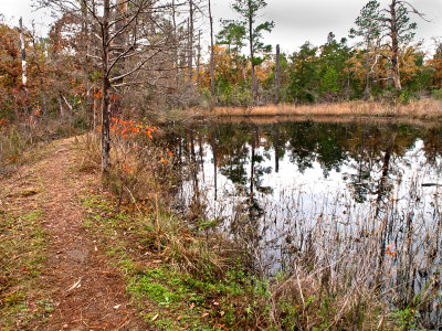 Hiking trail and pond