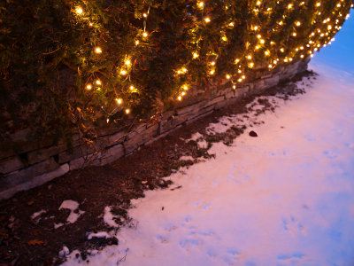 Christmas lights and snow after dark
