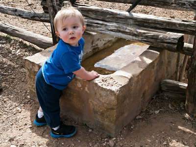 Outdoor Adventure, visitors at the farm