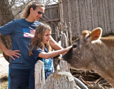 Mom and daughter with cow