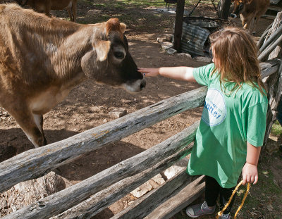 Girl with cow