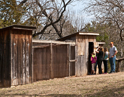 Looking in hen house