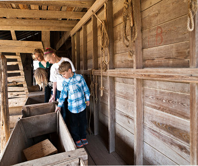 Checking out feed troughs in barn