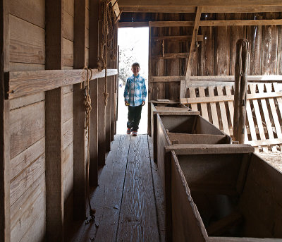 Boy comming into barn