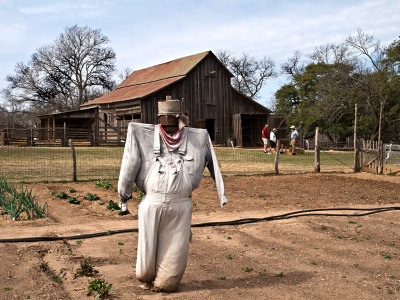 Scarecrow and winter garden