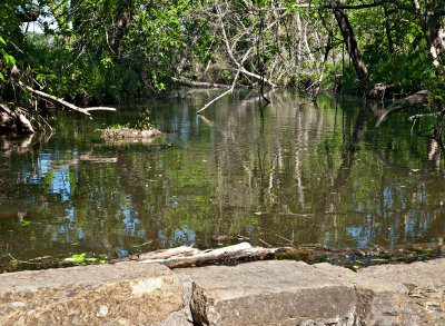 Pond behind check dam 2