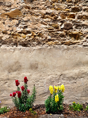 Wall with flowers