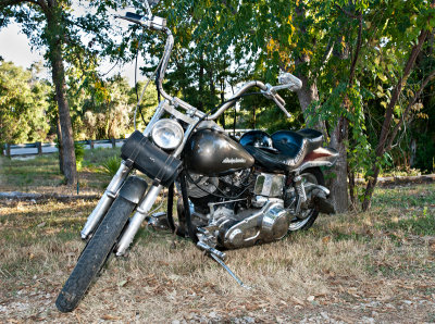 Harley
