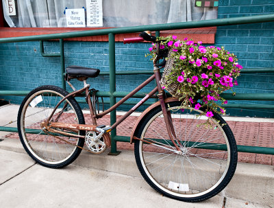 Bicycle with flower basket, La Grange, TX