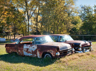 Two 1955 Fords #1