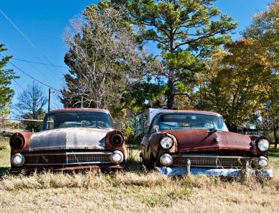 Two 1955 Fords #2