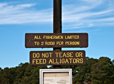 Do not tease or feed alligators