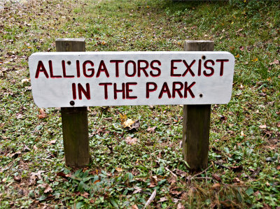Alligators exist 