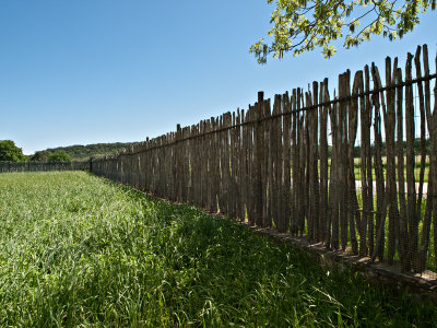 Fence #2